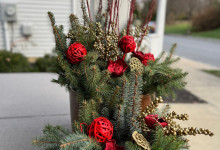 Residential Winter Planters