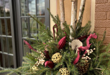 Winter Arrangement Planter