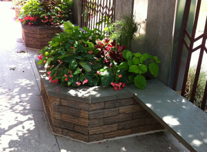 commercial planters with pink flowers along a fence