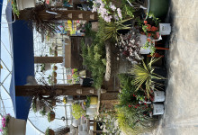 Tudbinks Farm Greenhouse