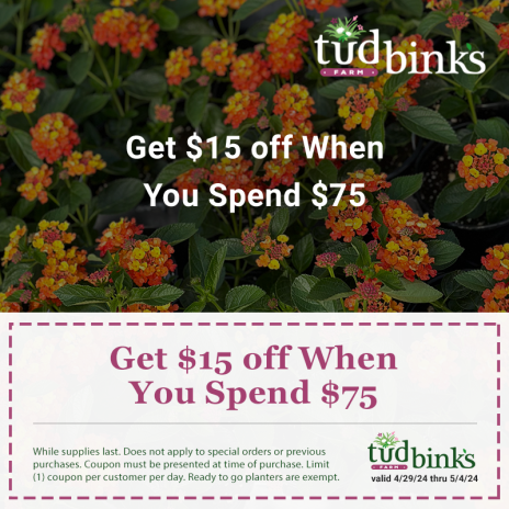 Promo: $15 off When You Spend $75