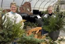 Tudbinks Winter Holiday Workshop