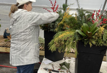 Tudbinks Winter Holiday Workshop