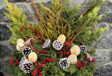 Tudbinks Winter Planter
