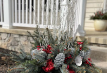 Tudbinks Winter Planter