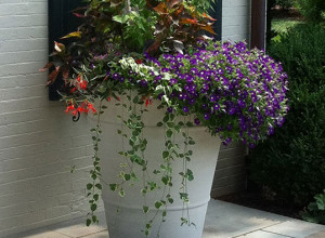 concrete residential planter with flowers and greenery