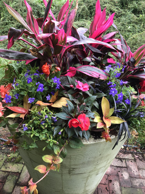 Medium ceramic pot with an assortment of dark purple, bright pink, and orange-red flowers with greenery and pink leaves.