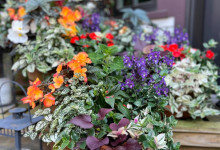 Tudbink Summer Planter 3