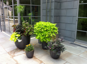 four commercial planters with flowers and leaves planted inside