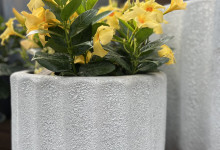 Tudbinks Planter