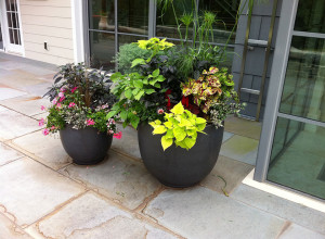 two commercial planters with greenery and flowers planted inside