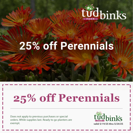 Coupon for 25 percent off perennials at Tudbink's Farms