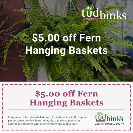 Coupon for 5 dollars off fern hanging baskets at Tudbink's Farms.