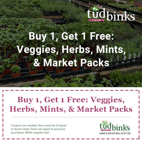 Promo for buy 1 get 1 free on veggies, herbs, mints, and market packs. Promo runs May 26, 2025 to June 21, 2025.
