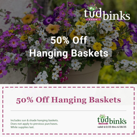 Coupon for 50 percent off all hanging baskets. Promo runs June 2nd 2025 to June 28th 2025.