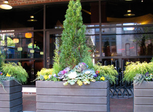 commercial planter with flowers and small trees