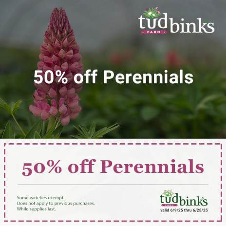 Coupon for 50% off perennials. Promo runs June 9 to June 28, 2025.