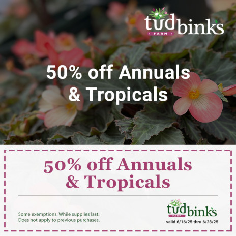 Coupon for 50 percent off annuals and tropicals at Tudbink's Farms