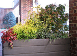 commercial planter with various plants