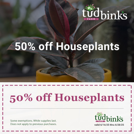 Coupon for 50 percent off houseplants at Tudbink's Farms