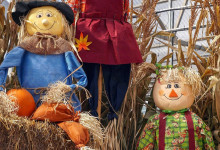 Scarecrows