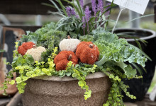 Tudbinks Fall Planter_8