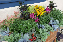 Tudbinks Fall Planter_4