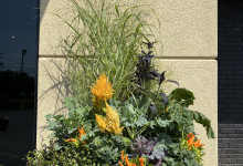 Tudbinks Fall Planter