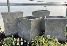 Empty planters