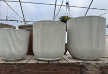 Empty Planters