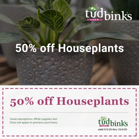 Coupon for 50 percent off houseplants at Tudbink's Farms
