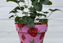 Kid's Very Berry Planter - Pink