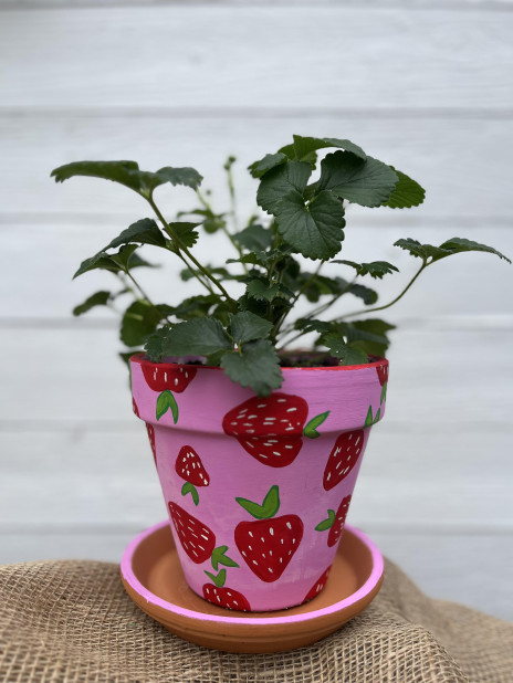 small planter painted pink with strawberries