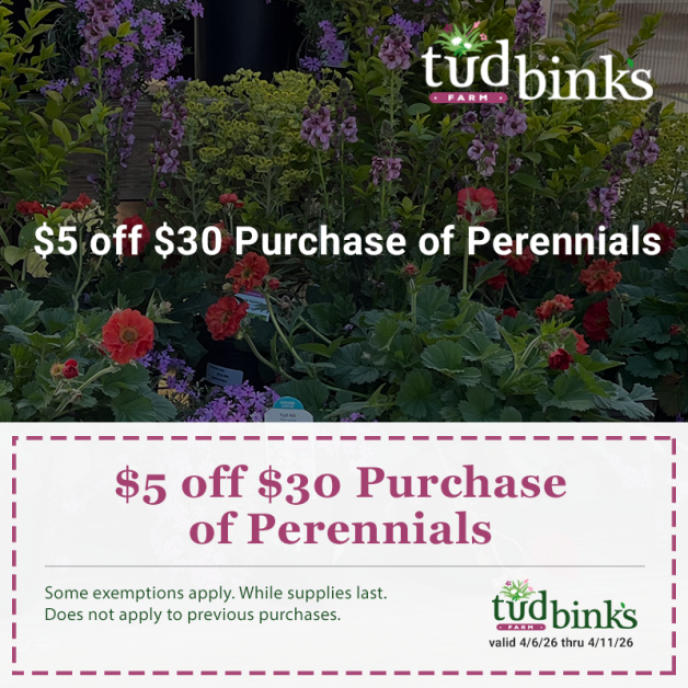 Tudbink's perennials coupon