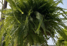 image3 (2)