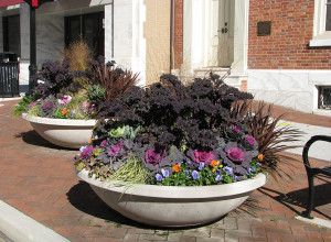 large commercial planter with shrubs and flowers planted inside