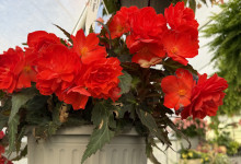 image2 (3)