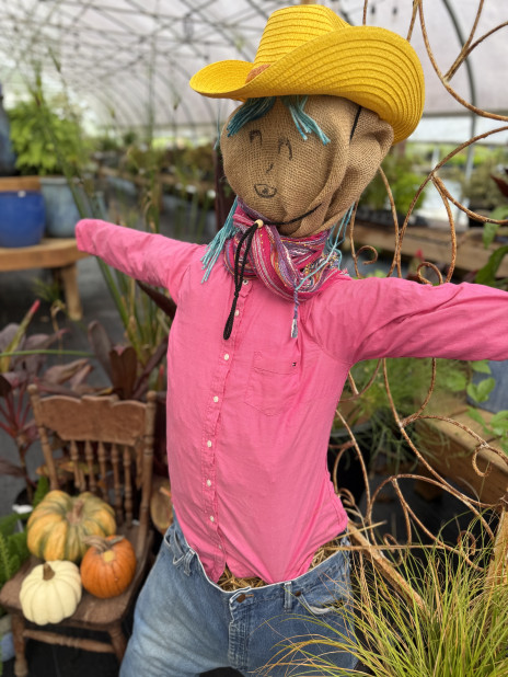 make your own scarecrow with pink shirt and yellow hat
