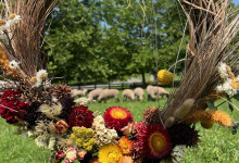 image0 (9)